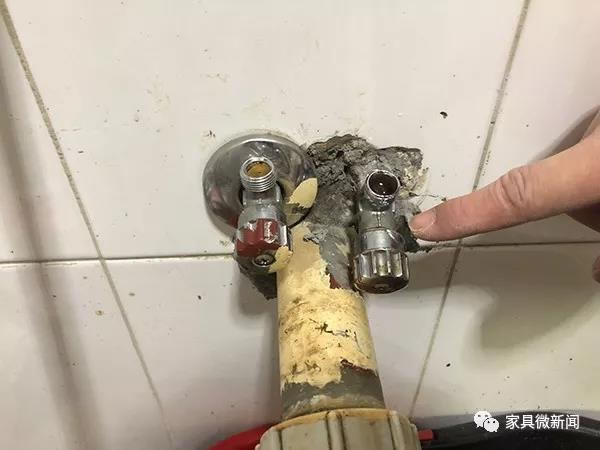 中国整木网